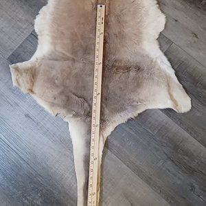 Kangaroo rug